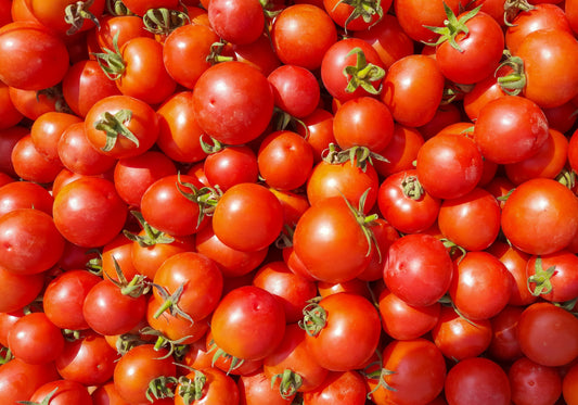 Fresh Tomatoes (1 lb)