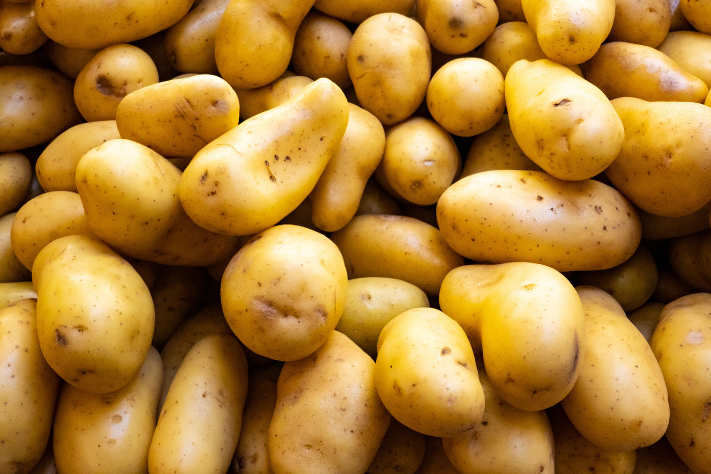 Potatoes (2 lb)